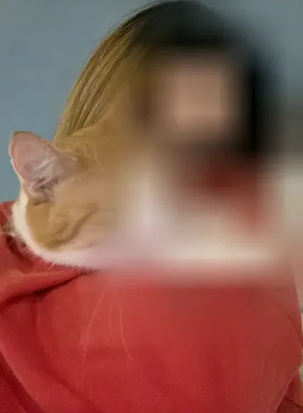 Hilla, 29